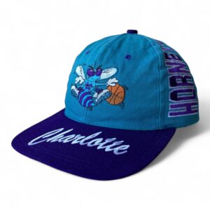 Кепка Starter Charlotte Hornets NBA